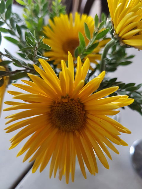 Secret Garden Cafe & Patisserie - Kingaroy Accommodation 1