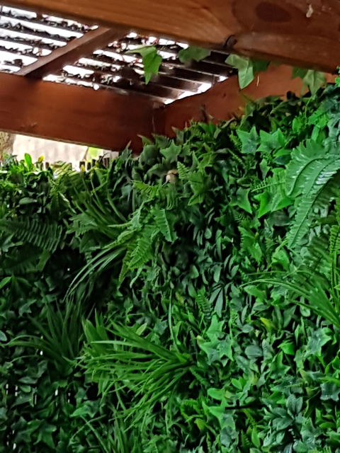 Secret Garden Cafe & Patisserie - Kingaroy Accommodation 5