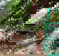 Larrimah Pink Panther Hotel - Kingaroy Accommodation