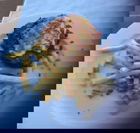 Bayside Inn - Kingaroy Accommodation