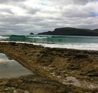 Bruny Island Berry Farm - Kingaroy Accommodation