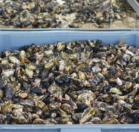 Lease 65 - Kingaroy Accommodation