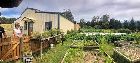 Springfield Tea Room - Kingaroy Accommodation 0