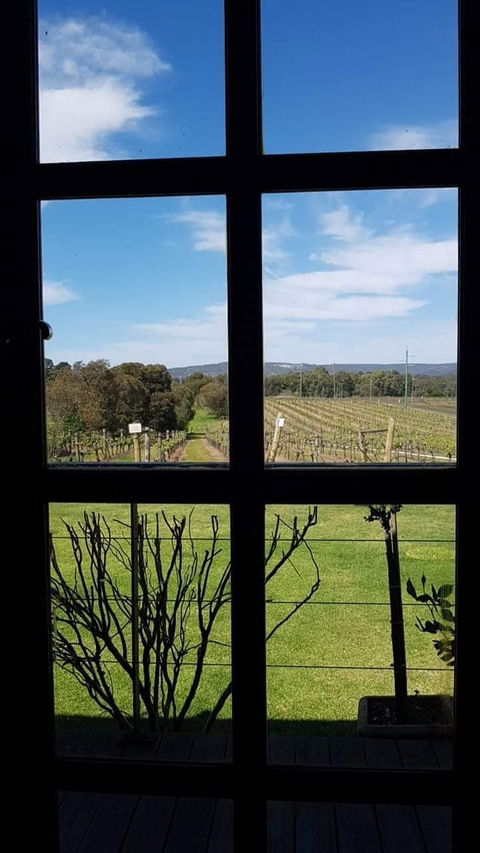 Black Swan Winery And Restaurant - Kingaroy Accommodation 5