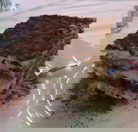 La Trattoria - Kingaroy Accommodation