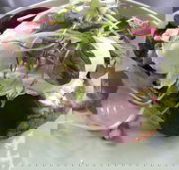 Public - Kingaroy Accommodation