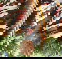 Kisseafoods - Kingaroy Accommodation