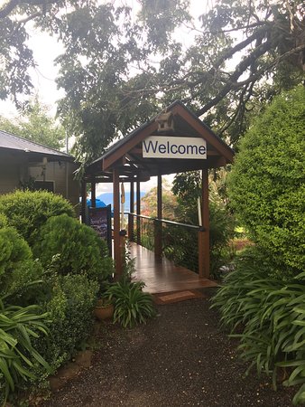 Spring Creek Mountain Cafe & Cottages - Kingaroy Accommodation 0