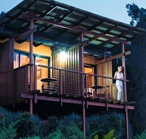 O'Reilly's Rainforest Guesthouse - Kingaroy Accommodation 1