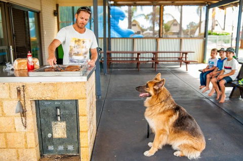 Discovery Parks Bunbury Village - Kingaroy Accommodation 0