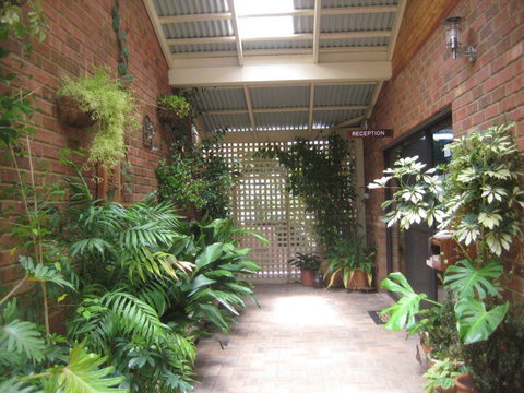 Edge of the Forest - Kingaroy Accommodation 1