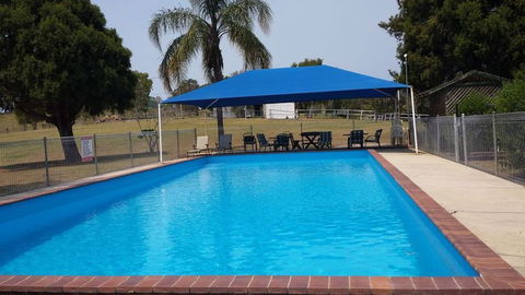 Jacaranda Motor Lodge - Kingaroy Accommodation 2