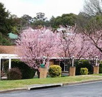 White Lanterns Motel - Kingaroy Accommodation