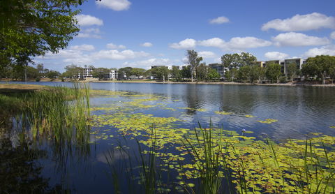 Itara & Jacana Apartments - Kingaroy Accommodation 2