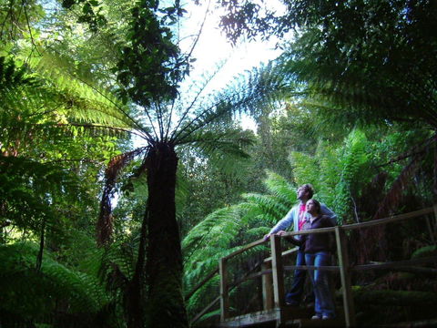 Huon Bush Retreats - Kingaroy Accommodation 1