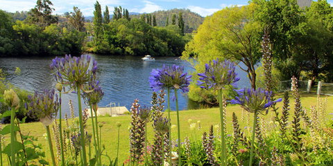 Woodbridge on the Derwent - Kingaroy Accommodation 3