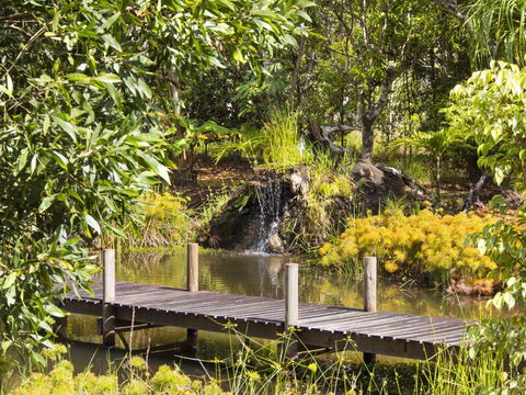 Cedar Park Rainforest Resort - Kingaroy Accommodation 0