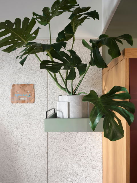 ACE Hotel Sydney - Kingaroy Accommodation 0