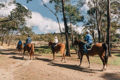 Country Club Tasmania - Kingaroy Accommodation 0