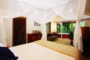 Daintree Eco Lodge & Spa - Kingaroy Accommodation 1