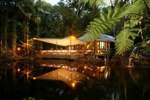 Daintree Eco Lodge & Spa - Kingaroy Accommodation 2