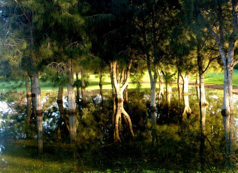 Lure Bed And Breakfast - Kingaroy Accommodation 18