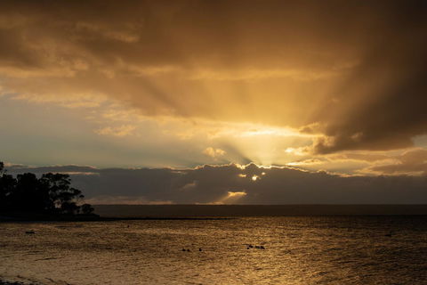 Mercure Kangaroo Island Lodge - Kingaroy Accommodation 16