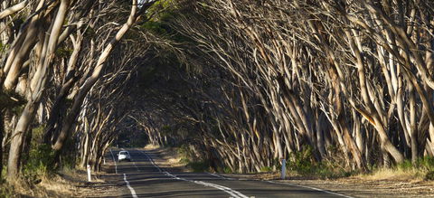 Mercure Kangaroo Island Lodge - Kingaroy Accommodation 40