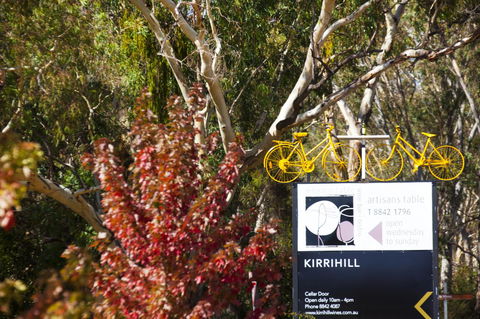 Discovery Parks - Clare - Kingaroy Accommodation 44