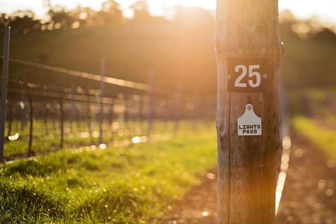 The Louise - Kingaroy Accommodation 44