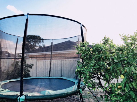 Beautiful Garden House - Kingaroy Accommodation 23