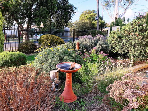 Beautiful Garden House - Kingaroy Accommodation 21