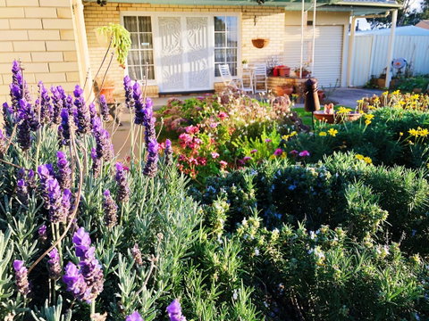 Beautiful Garden House - Kingaroy Accommodation 9