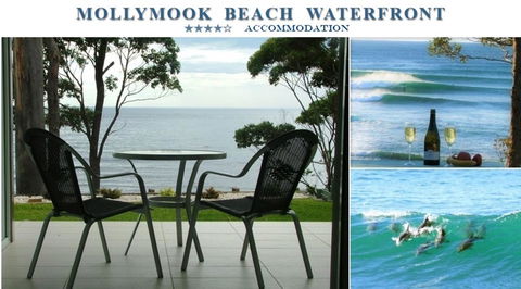 Mollymook Beach Waterfront - Kingaroy Accommodation 1