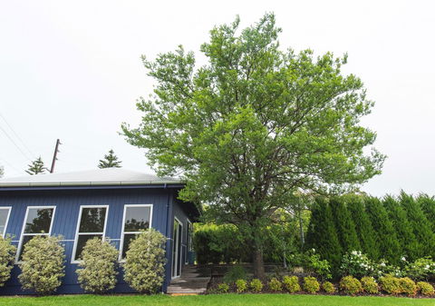 S T U D I O 22 Peaceful Retreat With Garden Views - Kingaroy Accommodation 11