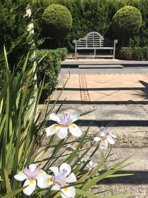 S T U D I O 22 Peaceful Retreat With Garden Views - Kingaroy Accommodation 13