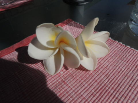 Glenelg - Marina Retreat - Kingaroy Accommodation 15