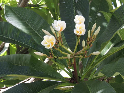 Glenelg - Marina Retreat - Kingaroy Accommodation 28