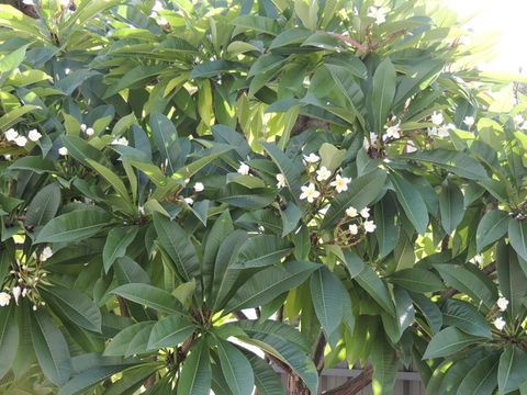 Glenelg - Marina Retreat - Kingaroy Accommodation 36