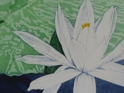 Monaco Court Apartment Adelaide - Kingaroy Accommodation 16