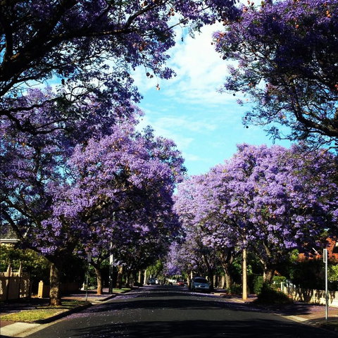 Monaco Court Apartment Adelaide - Kingaroy Accommodation 0