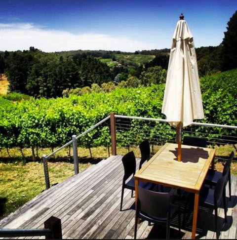 Monaco Court Apartment Adelaide - Kingaroy Accommodation 27