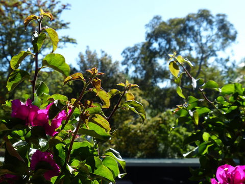 Monaco Court Apartment Adelaide - Kingaroy Accommodation 11