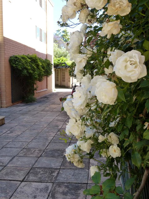 Monaco Court Apartment Adelaide - Kingaroy Accommodation 19