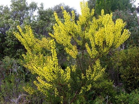 Kestrel Downs - Kingaroy Accommodation 26