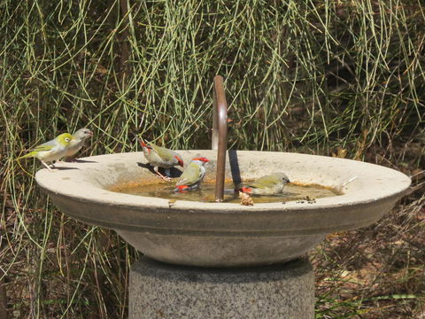 Kestrel Downs - Kingaroy Accommodation 24