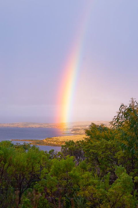 Kestrel Downs - Kingaroy Accommodation 14