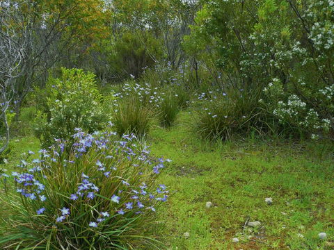 Kestrel Downs - Kingaroy Accommodation 32