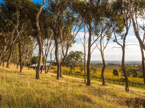 Shadow Creek McLaren Vale - Kingaroy Accommodation 5