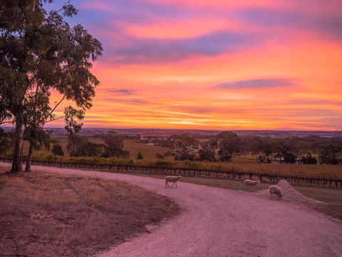 Shadow Creek McLaren Vale - Kingaroy Accommodation 24